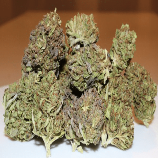 Bast CBD Flower online