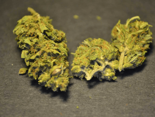 ACDC CBD Flower