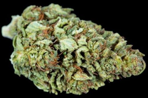 Bast CBD Hemp Trim and Shake