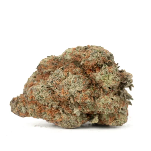 Orange Cookies - Image 2