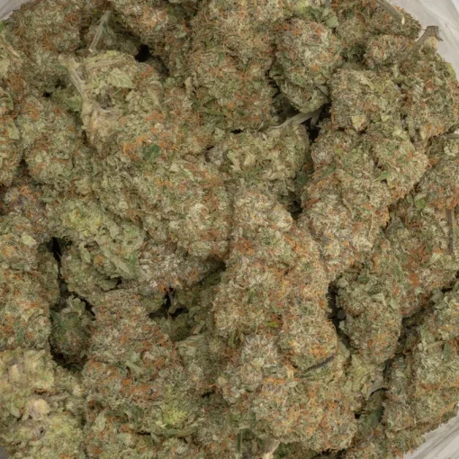Sherb Cream Pie - Image 2