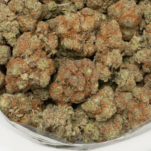 Orange Cookies - Image 3